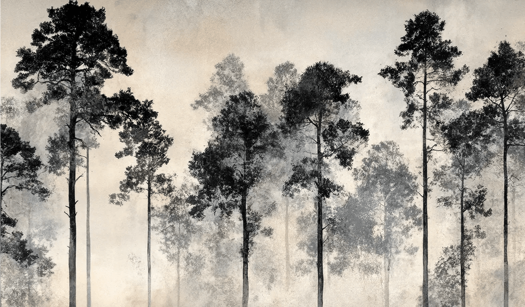 Voyage au cœur des pins – Papier peint panoramique forêt brumeuse - Illulart: Papier peint panoramique
