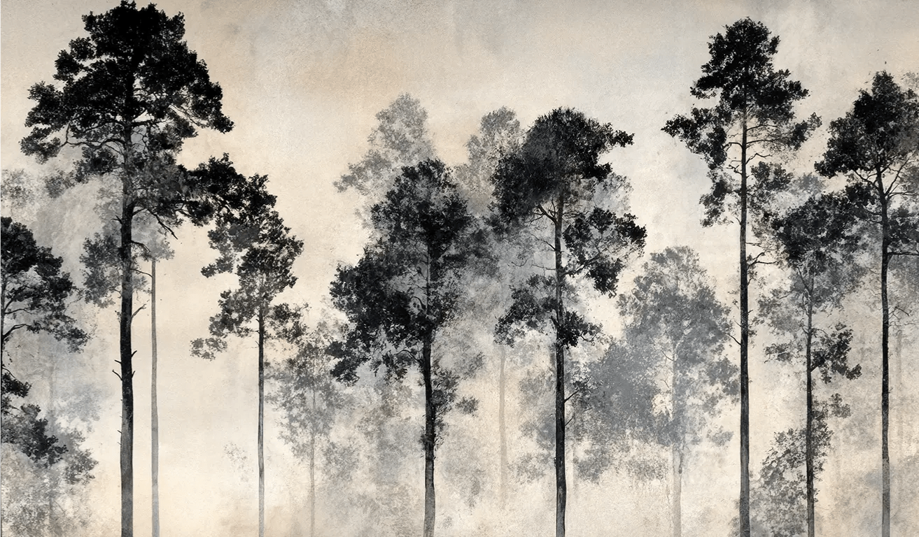 Voyage au cœur des pins – Papier peint panoramique forêt brumeuse - Illulart: Papier peint panoramique
