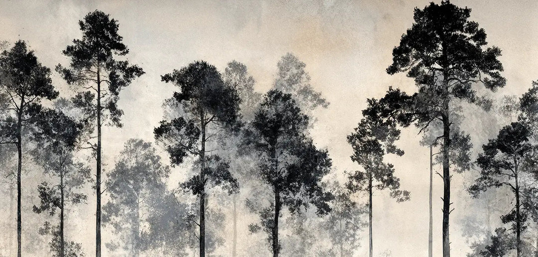 Voyage au cœur des pins – Papier peint panoramique forêt brumeuse - Illulart: Papier peint panoramique
