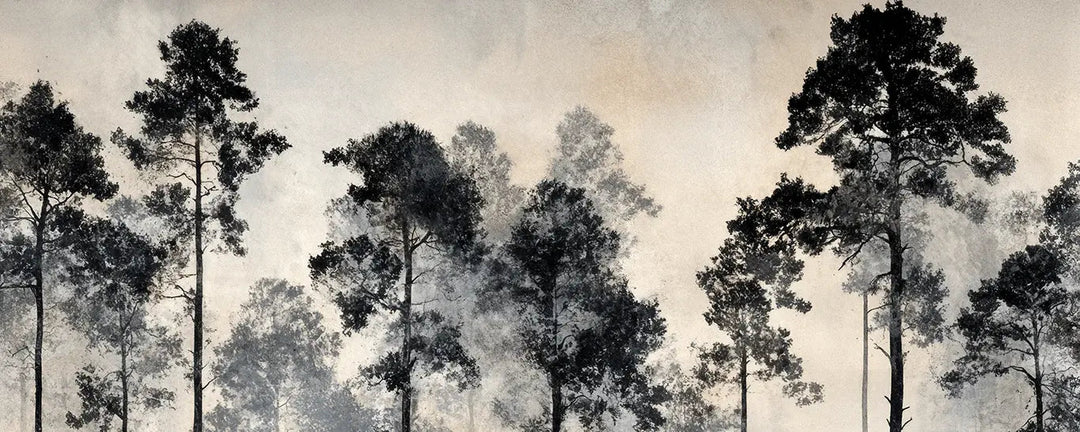 Voyage au cœur des pins – Papier peint panoramique forêt brumeuse - Illulart: Papier peint panoramique