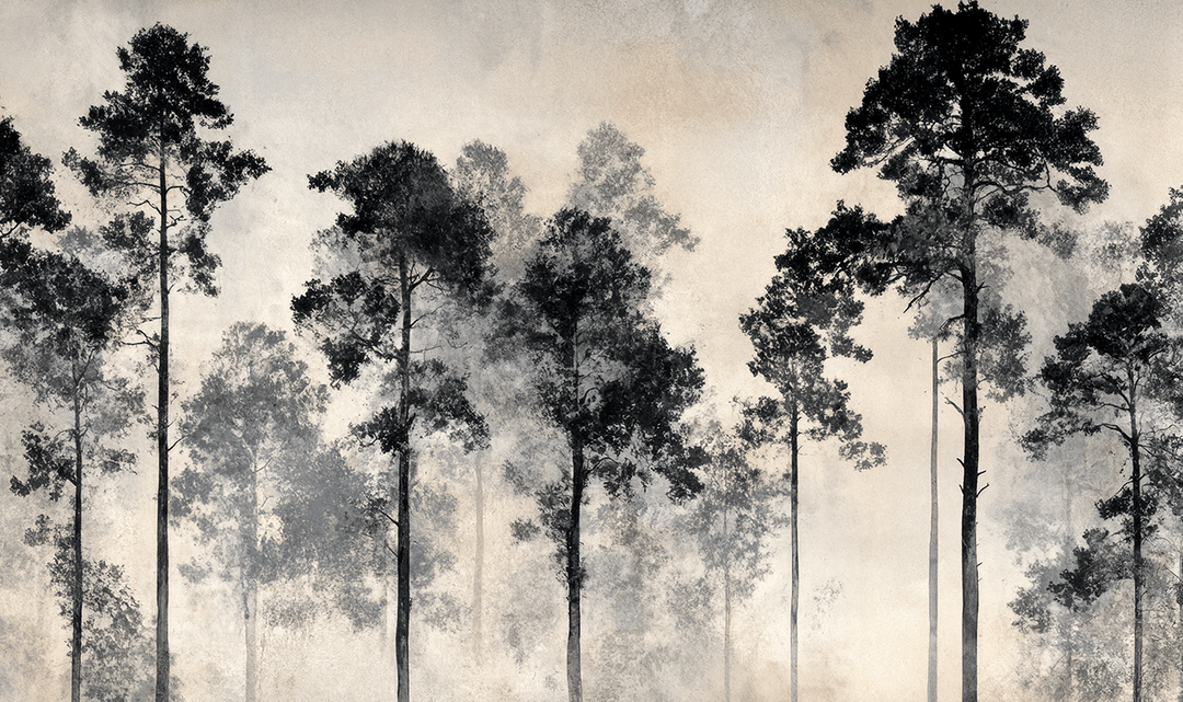 Voyage au cœur des pins – Papier peint panoramique forêt brumeuse - Illulart: Papier peint panoramique