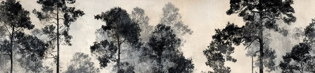 Voyage au cœur des pins – Papier peint panoramique forêt brumeuse - Illulart: Papier peint panoramique