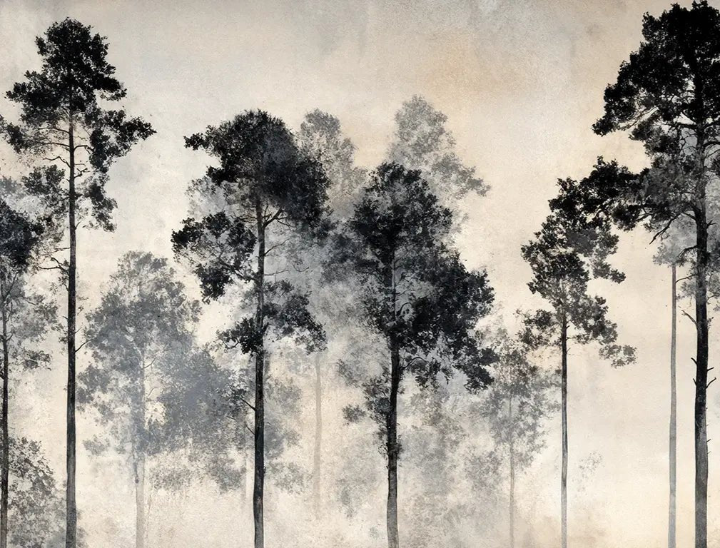Voyage au cœur des pins – Papier peint panoramique forêt brumeuse - Illulart: Papier peint panoramique