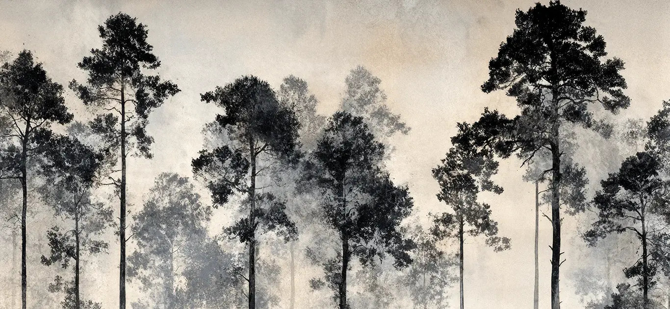 Voyage au cœur des pins – Papier peint panoramique forêt brumeuse - Illulart: Papier peint panoramique