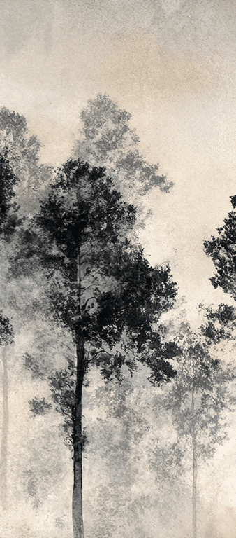Voyage au cœur des pins – Papier peint panoramique forêt brumeuse - Illulart: Papier peint panoramique