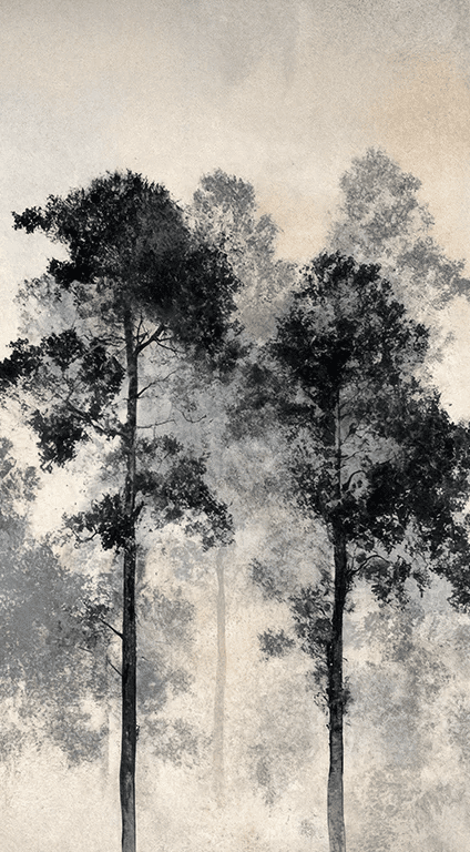 Voyage au cœur des pins – Papier peint panoramique forêt brumeuse - Illulart: Papier peint panoramique