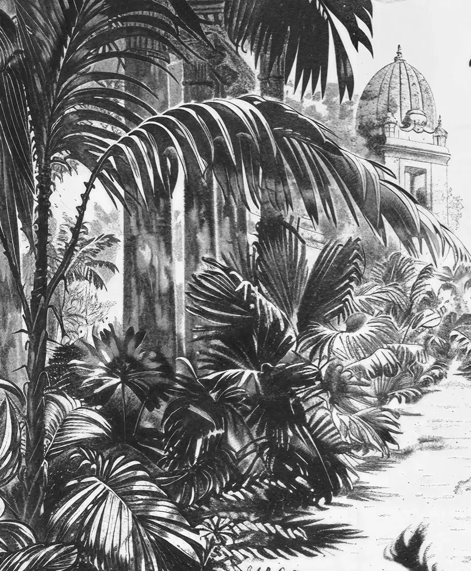 Voyage Tropical : Papier Peint Jardin Exotique Vintage - Illulart: Papier peint panoramique