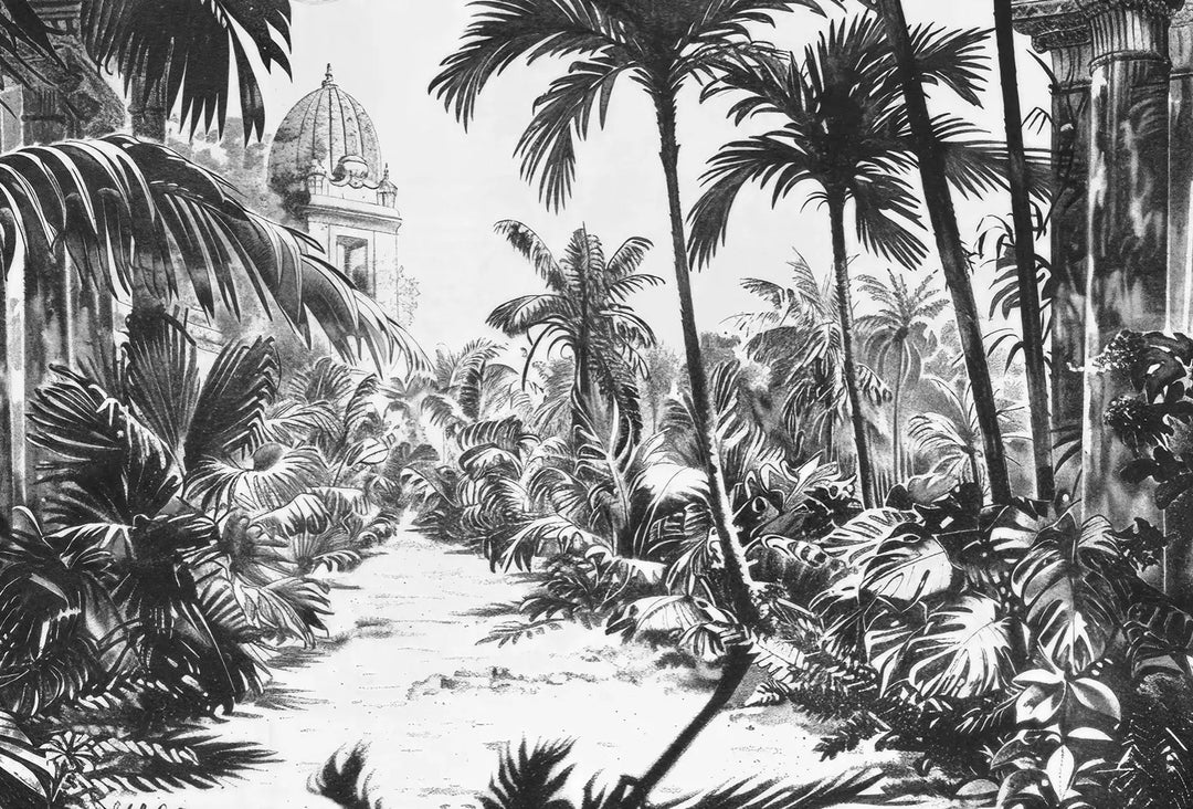 Voyage Tropical : Papier Peint Jardin Exotique Vintage - Illulart: Papier peint panoramique