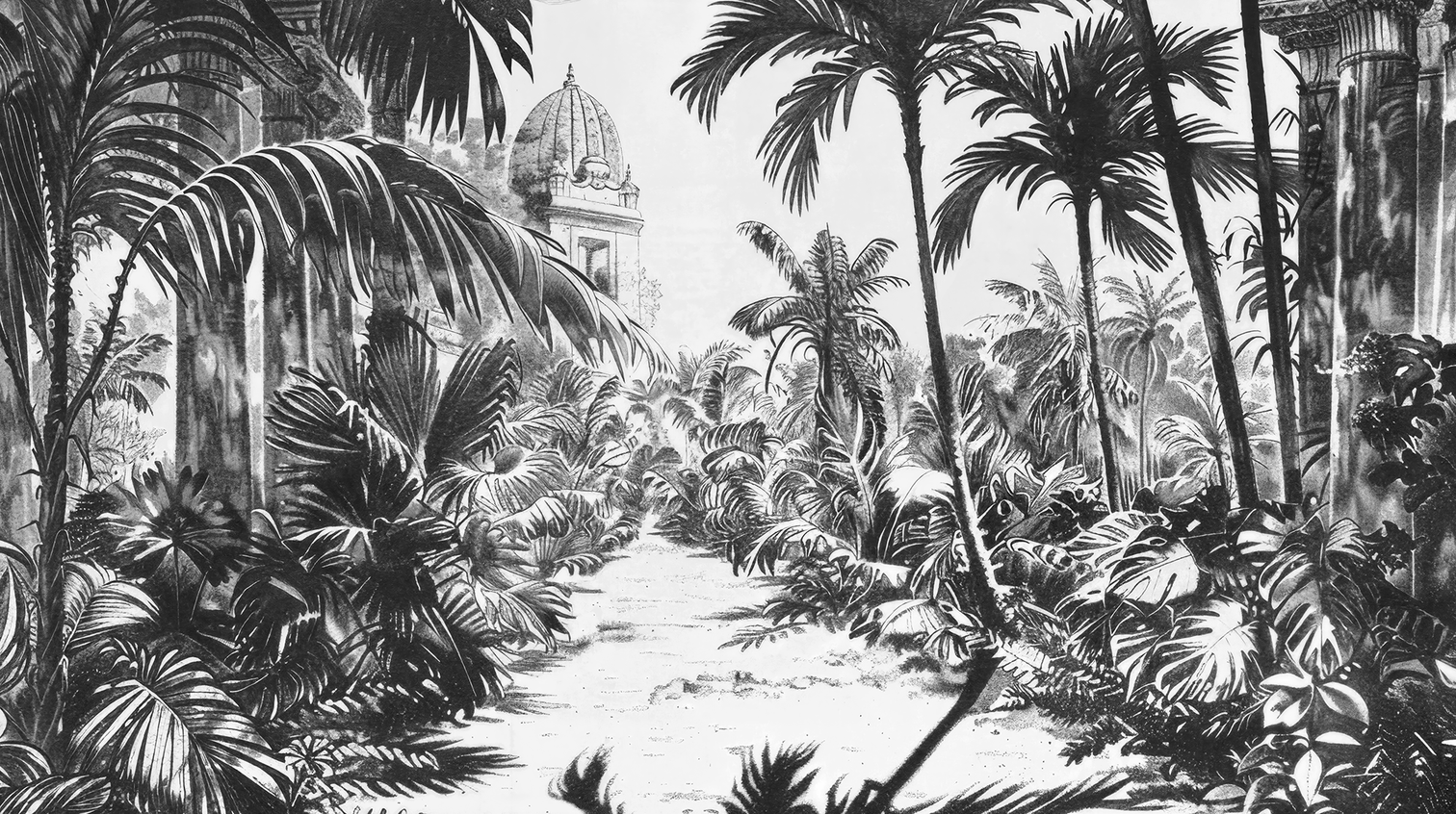 Voyage Tropical