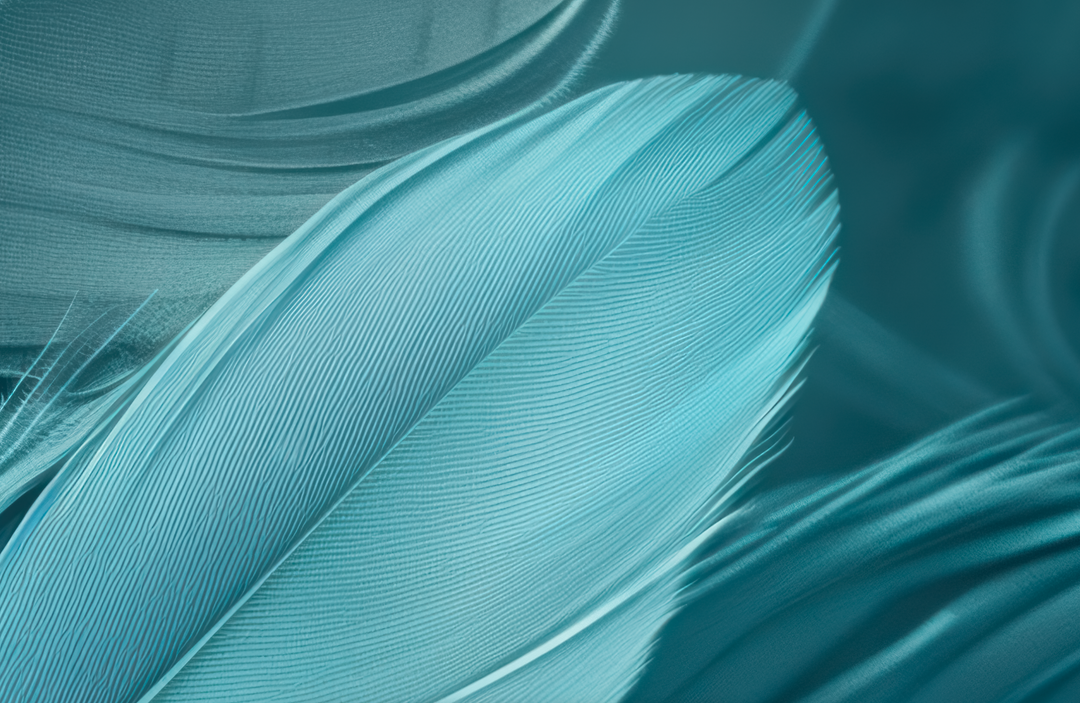 Mur de Plumes - Papier Peint Panoramique Élégant en Bleu Cendré