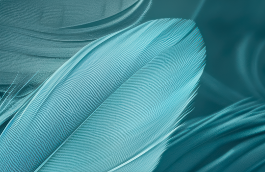 Mur de Plumes - Papier Peint Panoramique Élégant en Bleu Cendré